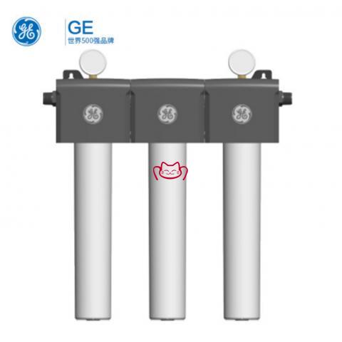 GE   EFC3-25  三头商用大流量活性炭...