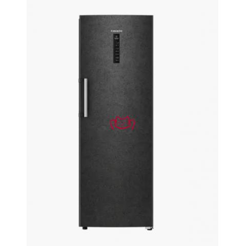 CASARTE BD-285WGCERU1立式冻...