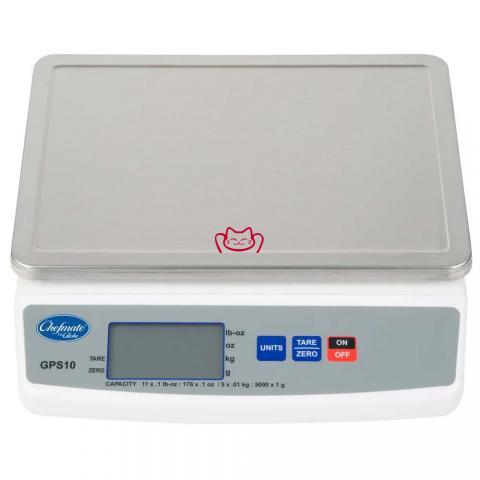 GLOBE GPS10-4  11磅 船用数字式...